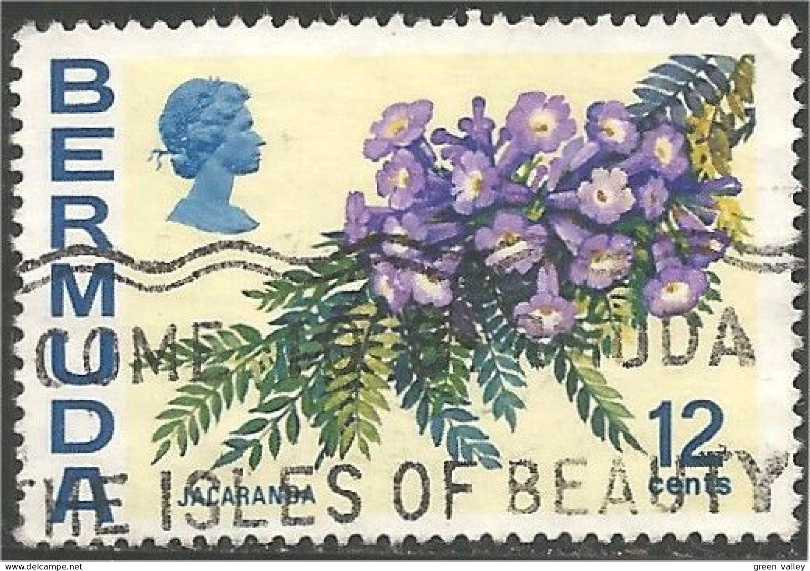 188 Bermuda Fleur Jacaranda Flower (BER-88) - Bermudas