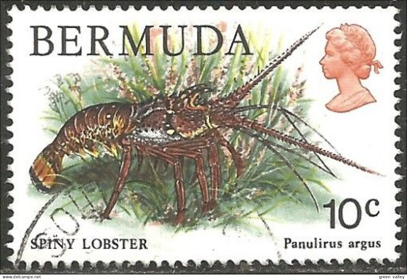 188 Bermuda Homard Lobster Lagosta Aragosta Hummer (BER-94) - Schalentiere