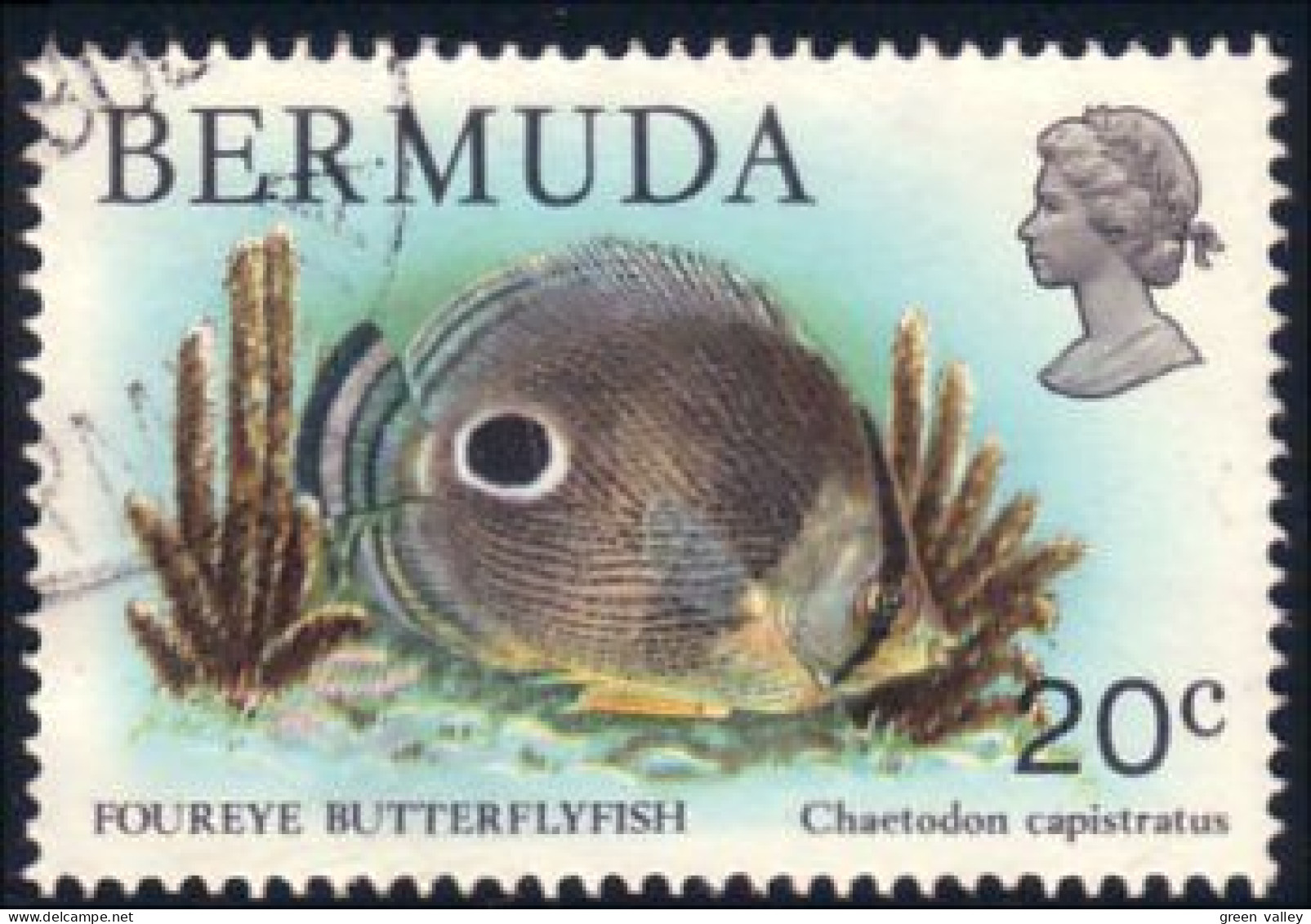 188 Bermuda 20c Poisson Fish (BER-48) - Bermudes