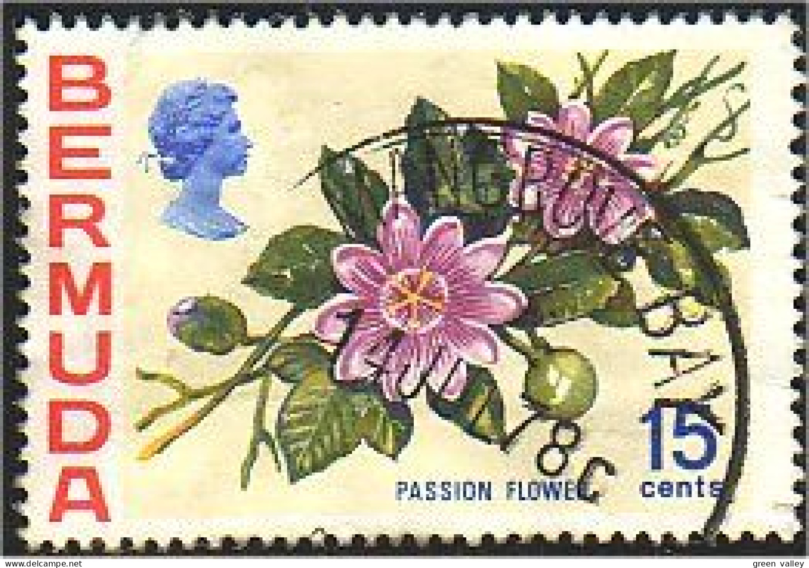 188 Bermuda Fleur Passion Flower (BER-17) - Bermudes