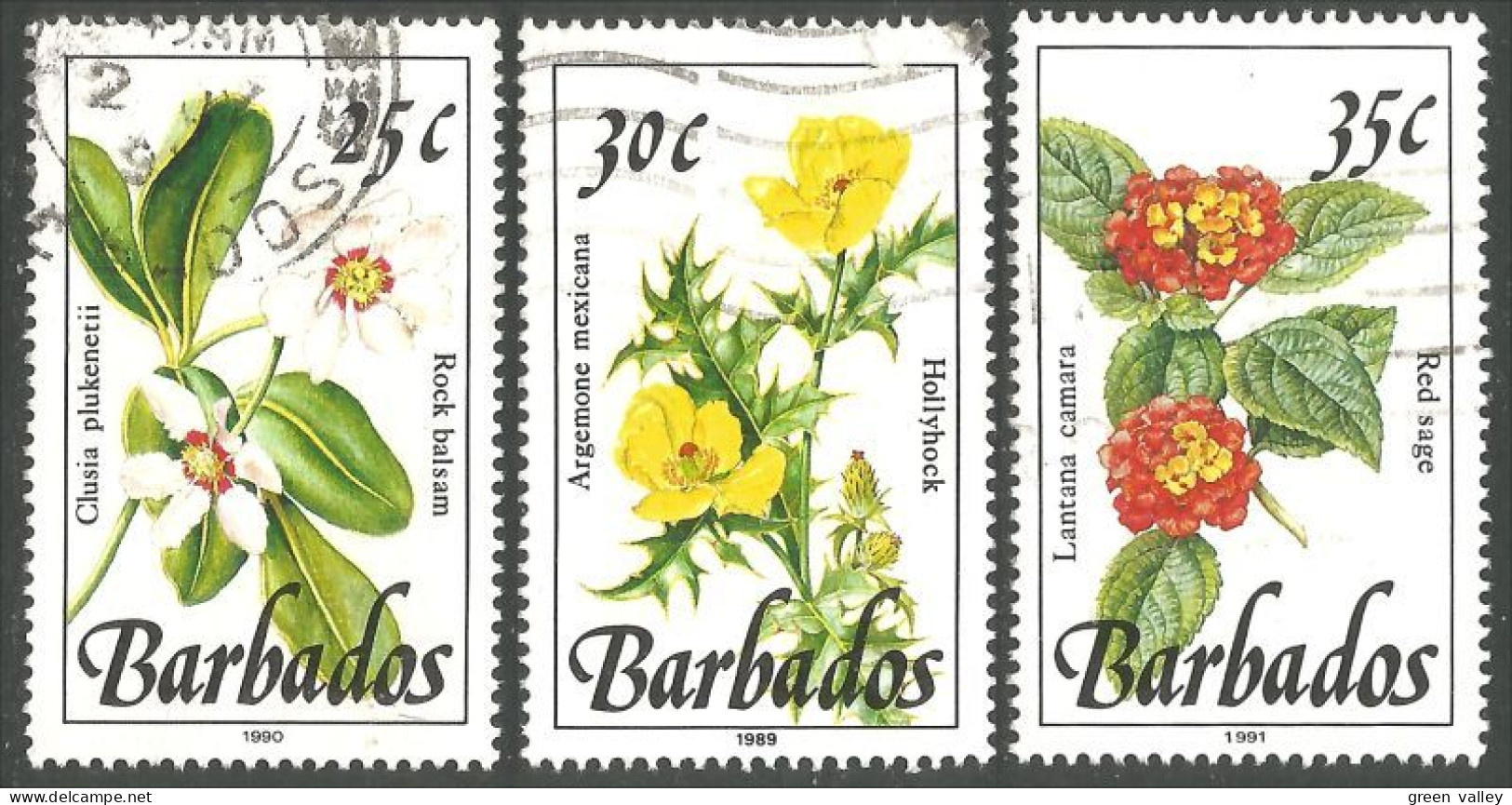 176 Barbados Fleurs Hollyhock Red Sage Rock Balsam Flowers (BBA-161) - Barbades (1966-...)