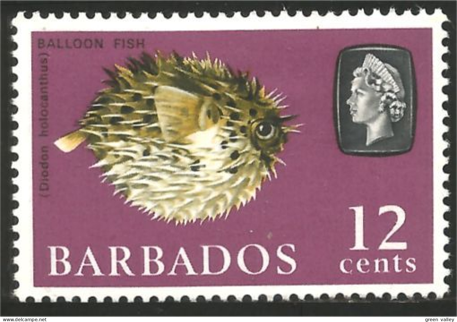 176 Barbados Balloonfish Poisson Lune MH * Neuf CH (BBA-134) - Barbados (...-1966)