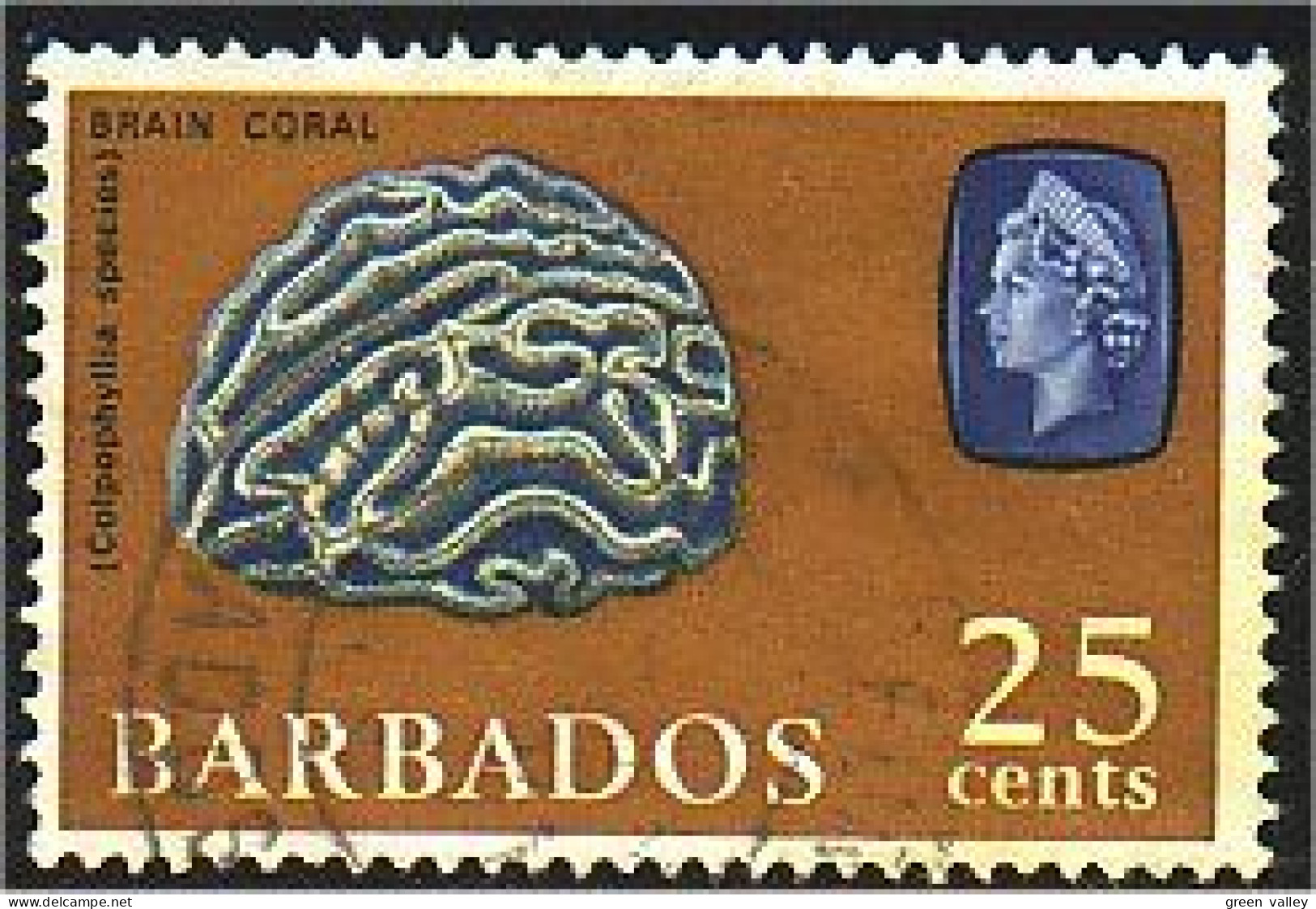 176 Barbados Coral Corail (BBA-50) - Barbados (...-1966)