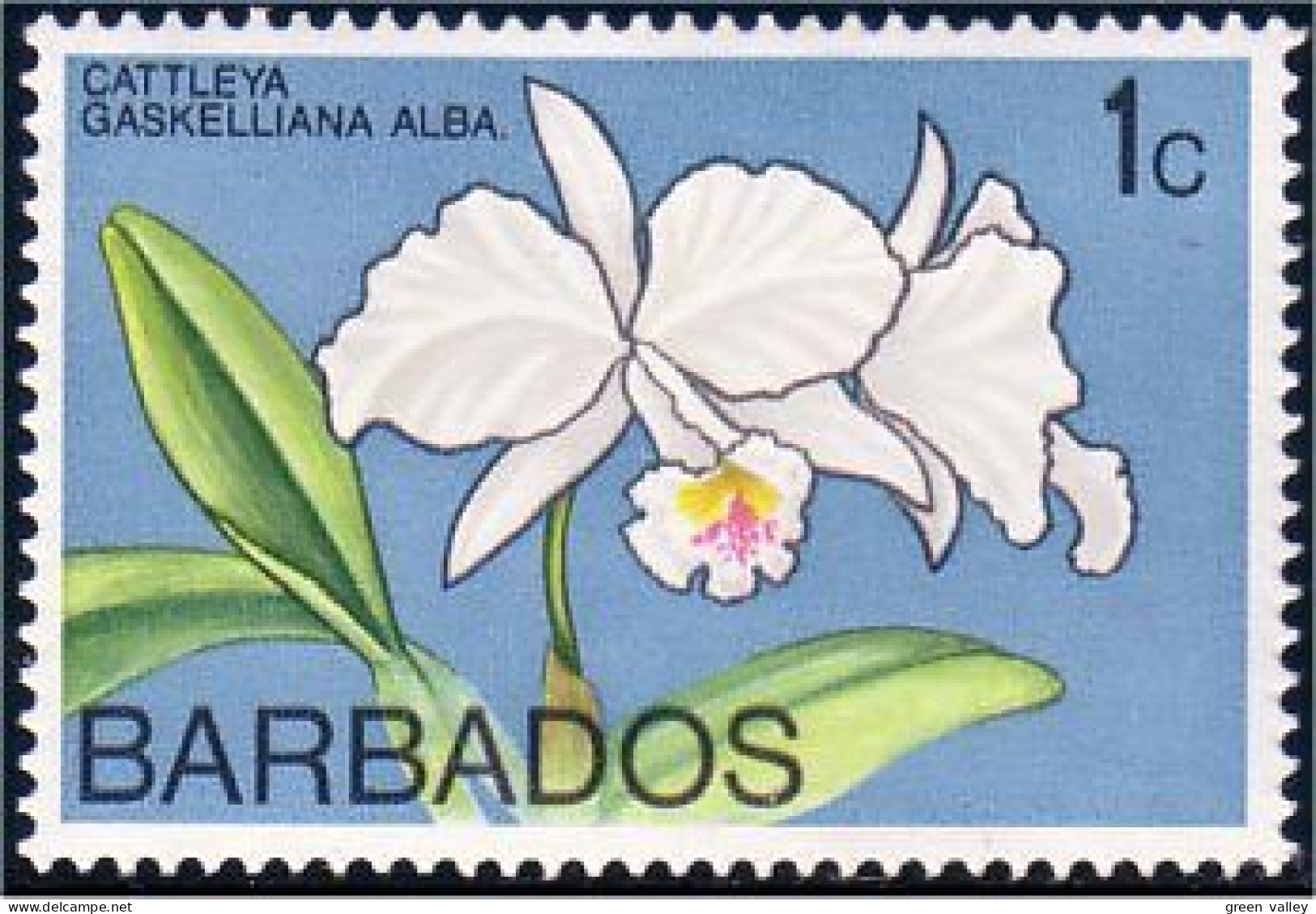 176 Barbados Orchid Orchidee MNH ** Neuf SC (BBA-20a) - Barbados (1966-...)