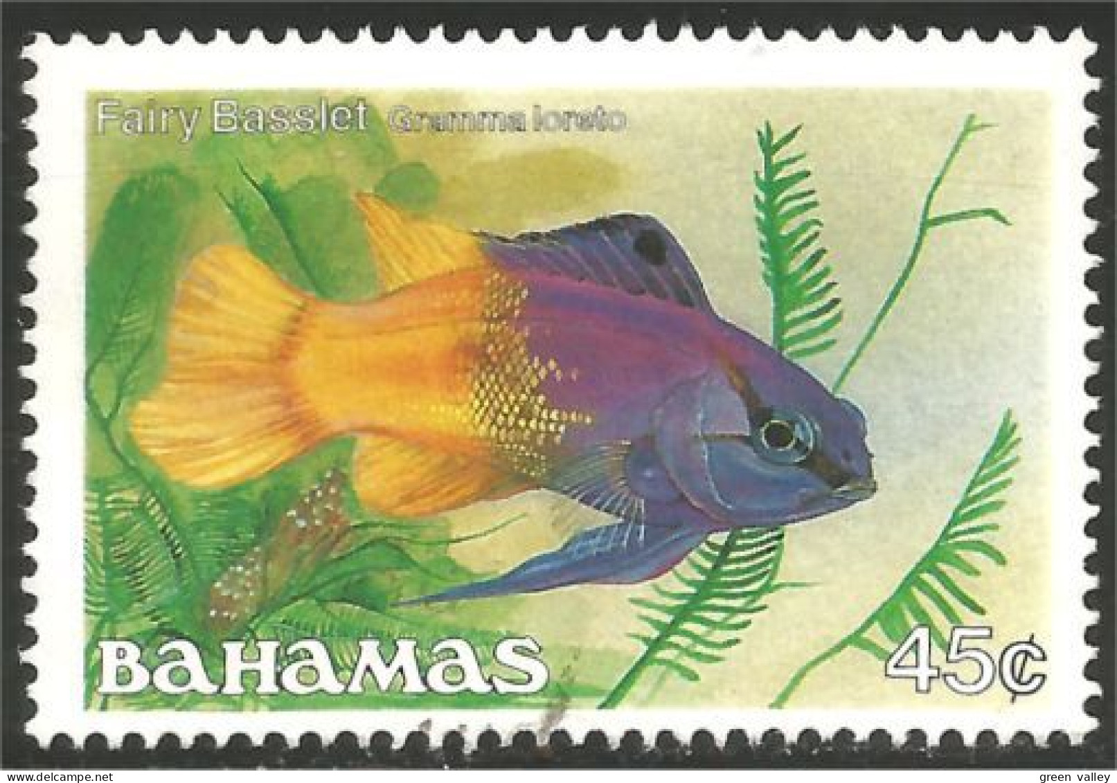 164 Bahamas Fairy Basslet Aquarium Fish Poisson Sans Gomme NO Gum (BAH-190) - 1883 Leopold II