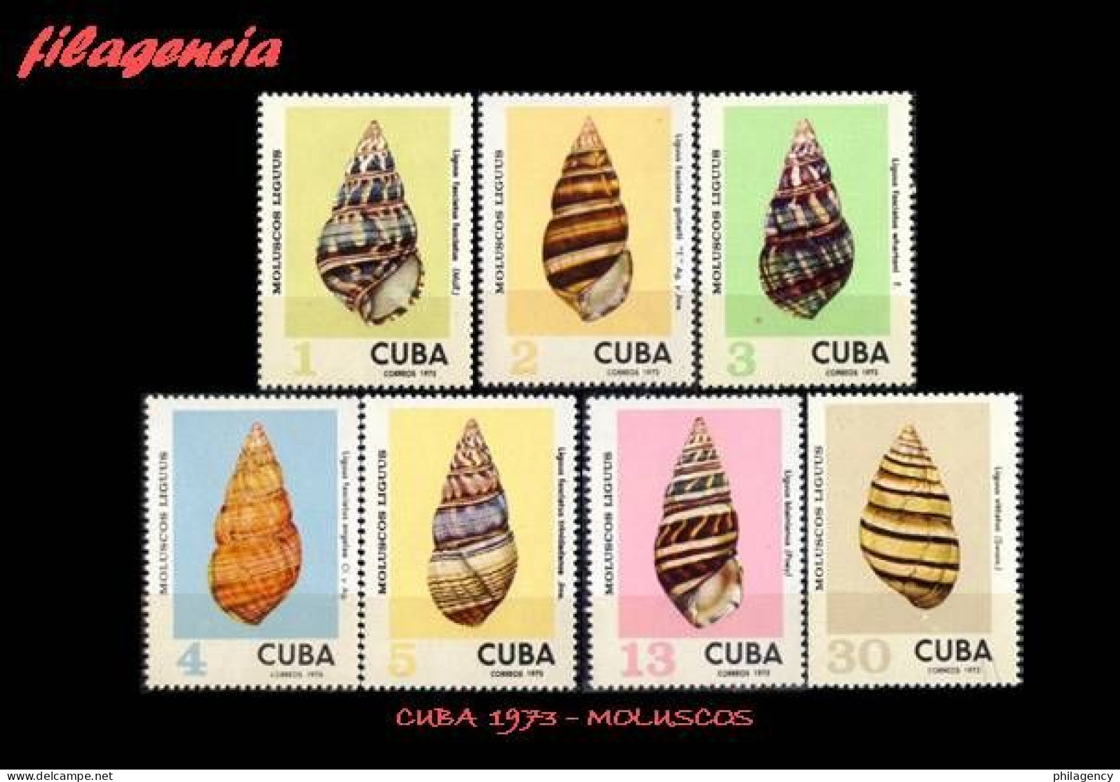 CUBA MINT. 1973-22 MOLUSCOS. CARACOLAS - Ongebruikt