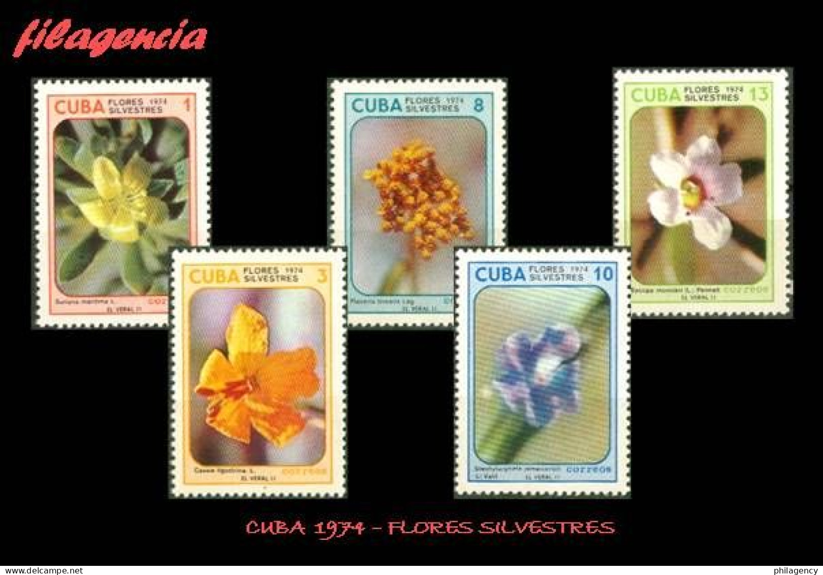 CUBA MINT. 1974-20 FLORA. FLORES SILVESTRES - Nuovi