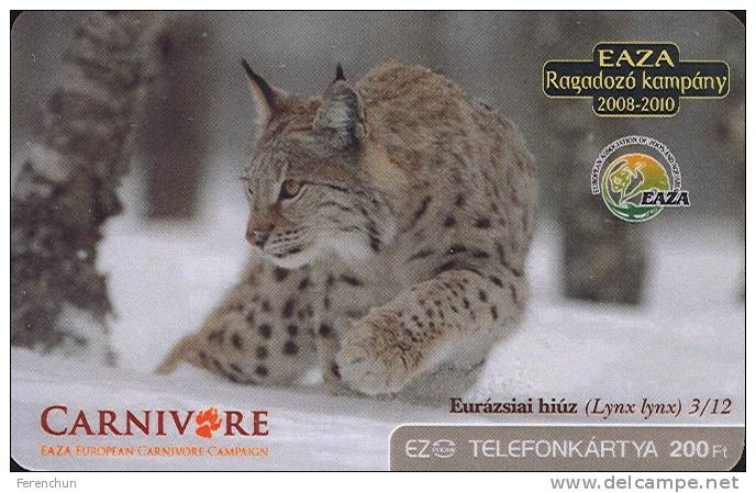 EURASIAN LYNX * LYNX LYNX * EUROPEAN CARNIVORE CAMPAIGN EAZA * WWF PANDA * BROWN BEAR * WILDCAT * FOX * MMK181 * Hungary - Ungarn