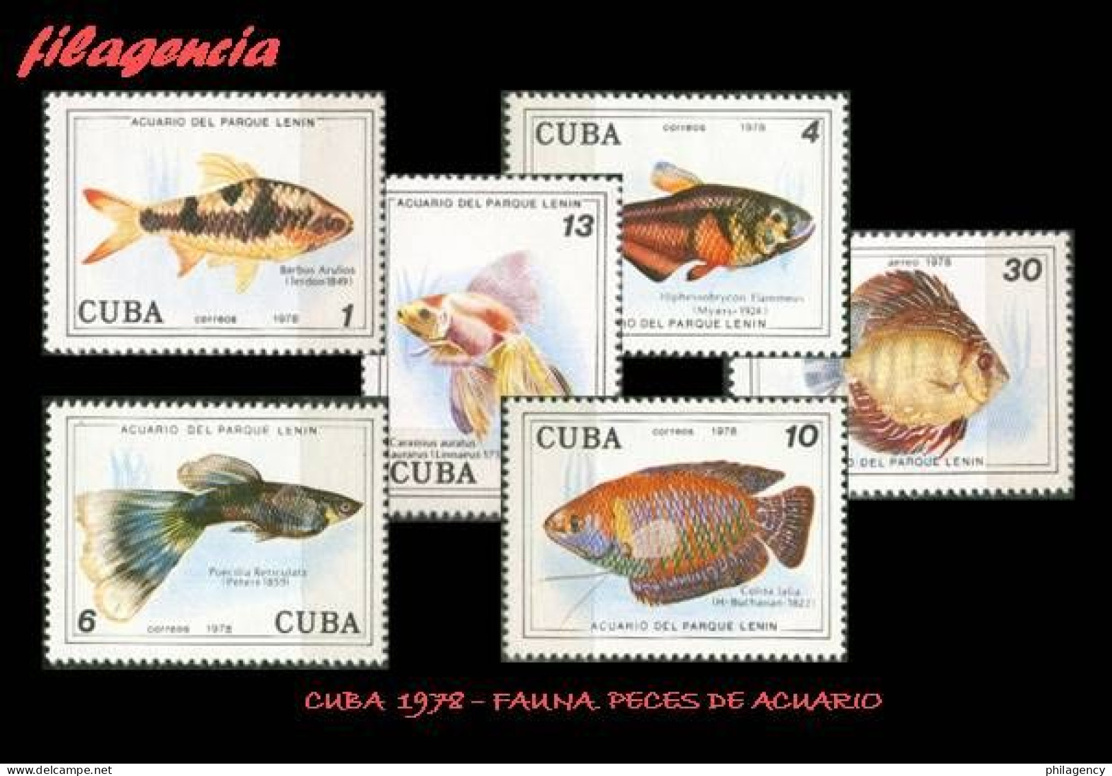 CUBA MINT. 1978-14 FAUNA. PECES DE ACUARIO - Unused Stamps