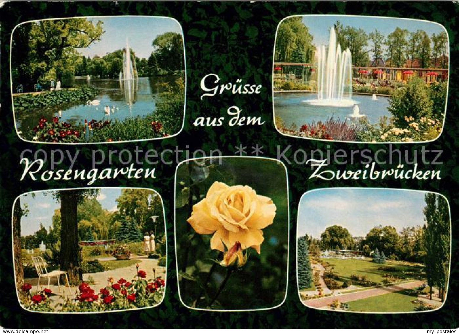 73152453 Zweibruecken Pfalz Rosengarten Fontaene Parkanlage Rosenbluete Zweibrue - Zweibrücken