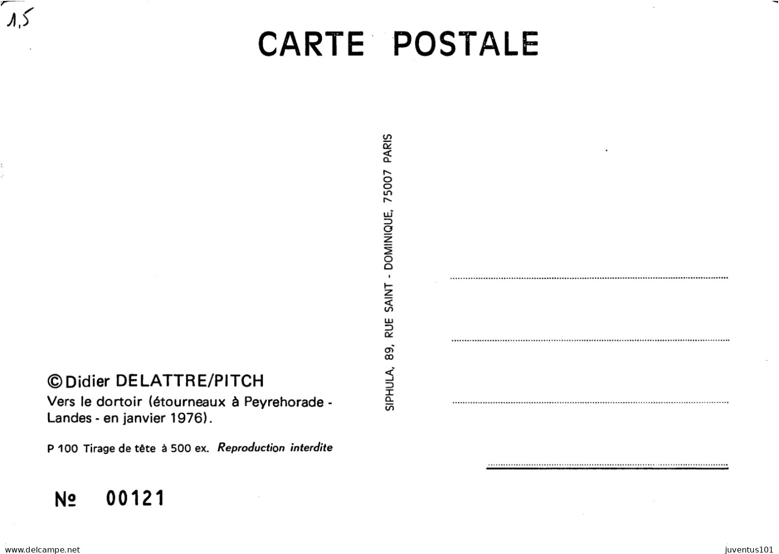 CPSM Illustration Didier Delattre - Vers Le Dortoir - Etourneaux à Peyrehorade-  Landes - Janvier 1976    L2695 - Peyrehorade