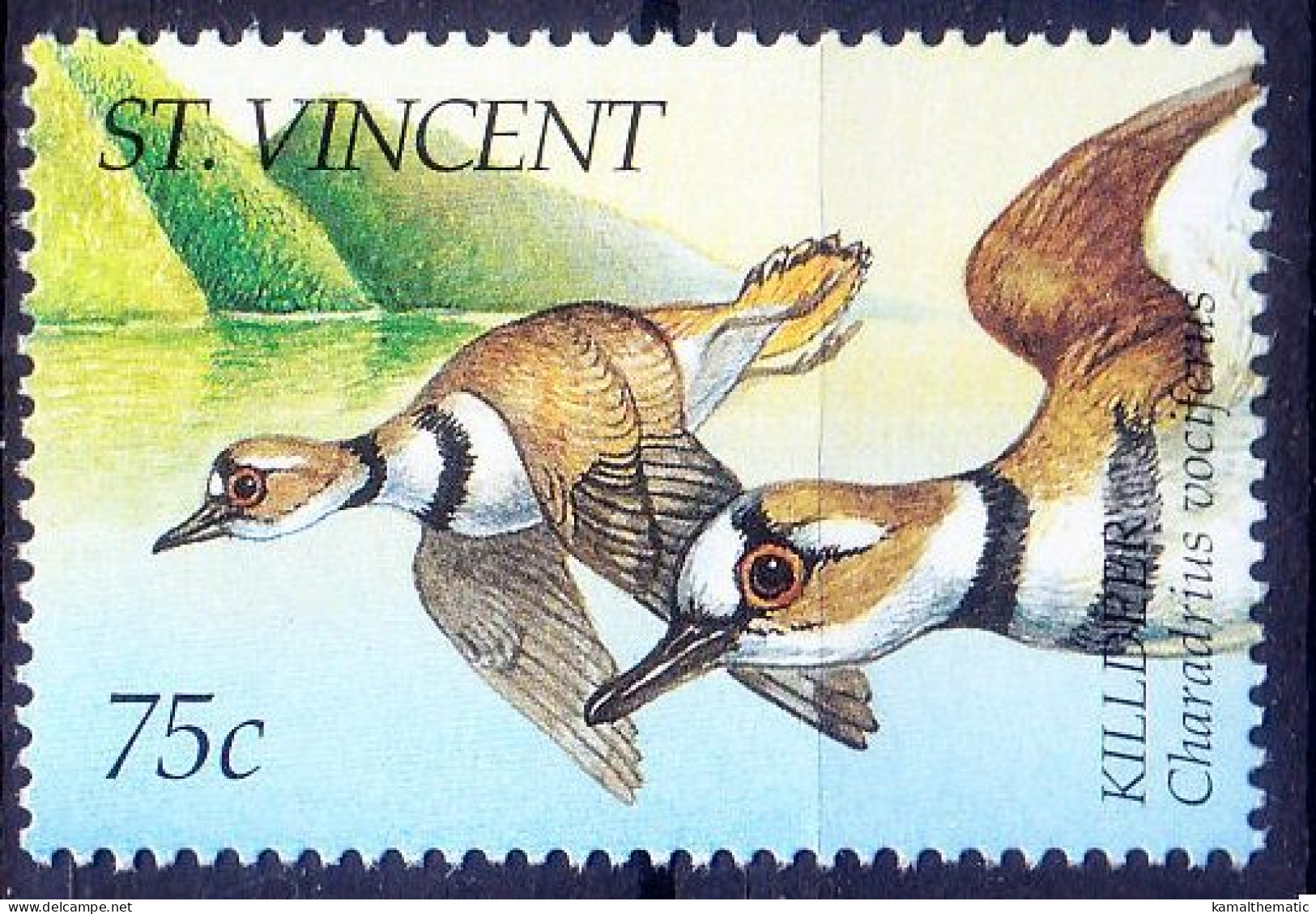 St. Vincent 1995 MNH, Water Birds, Killdper - Albatros