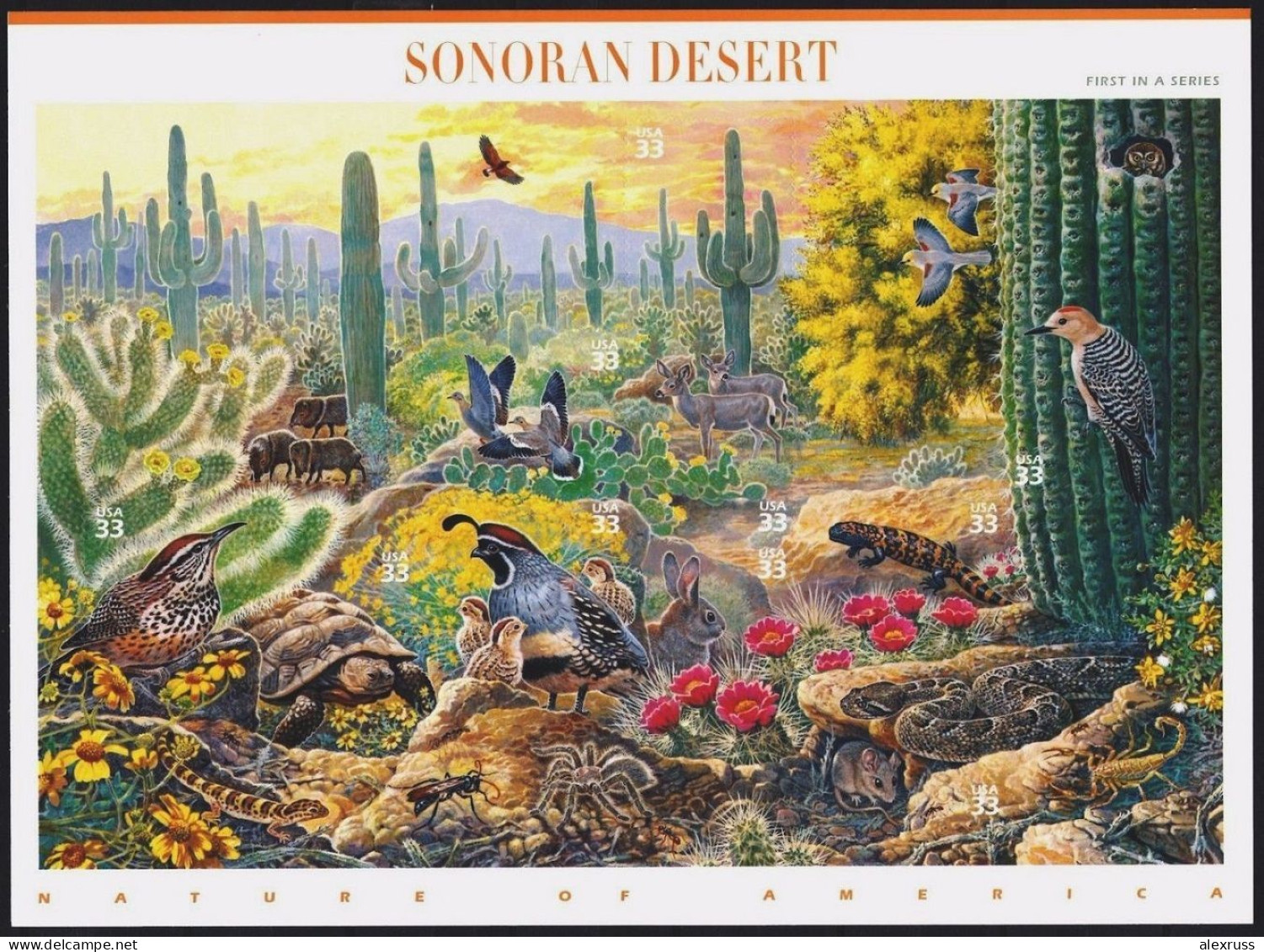 US Nature Series, Sonoran Desert, Full Decorated Sheet, VF MNH** - Volledige Vellen