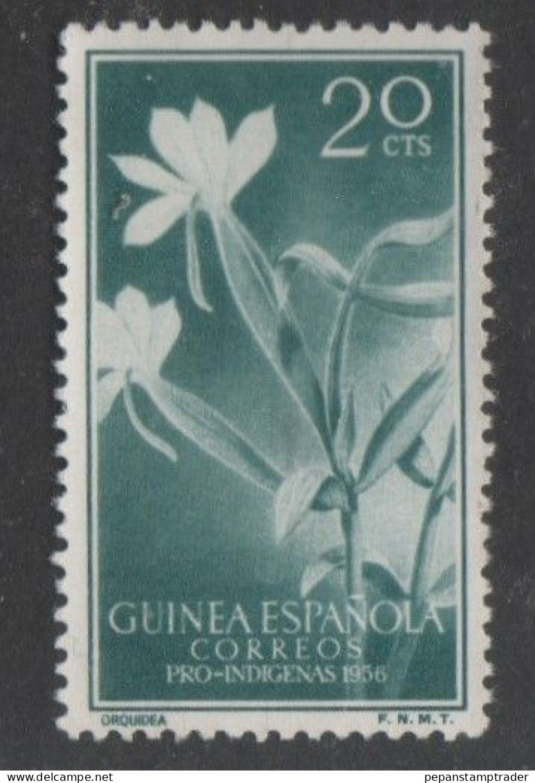 Spanish Guinea - #344 - MNG - Guinée Espagnole