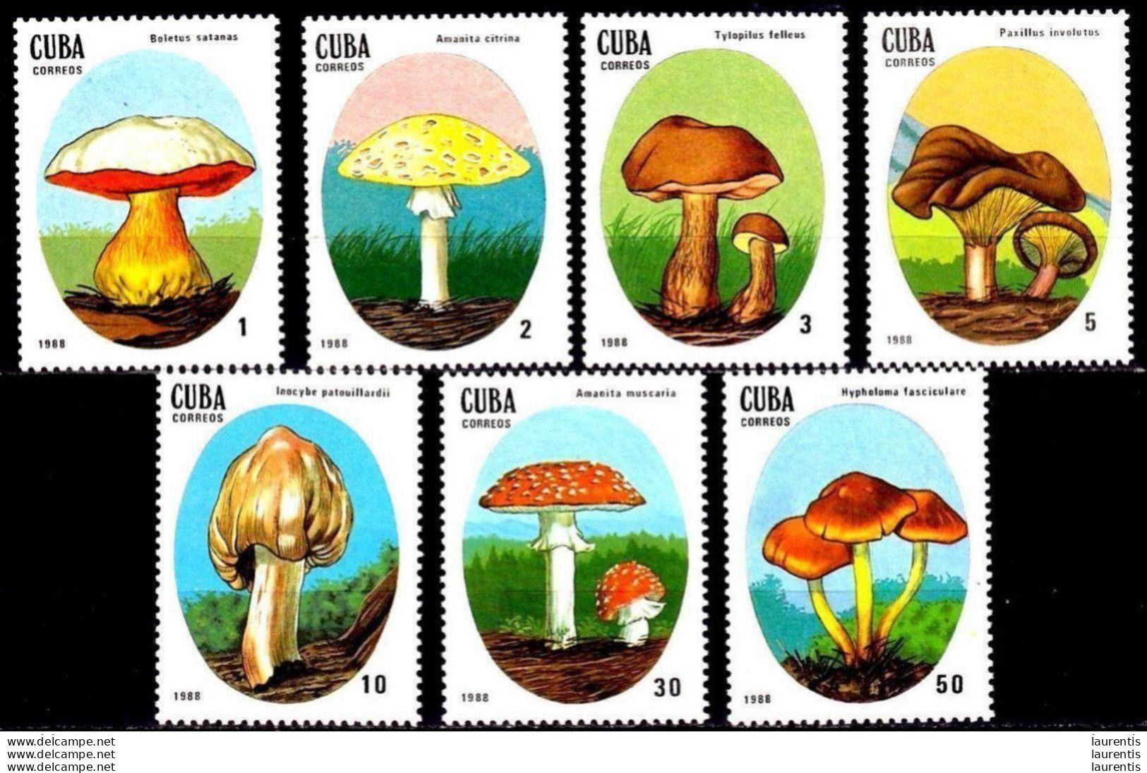 633  Mushrooms - Champignons - 1989 - MNH - Cb -  1,30 . -- - Pilze