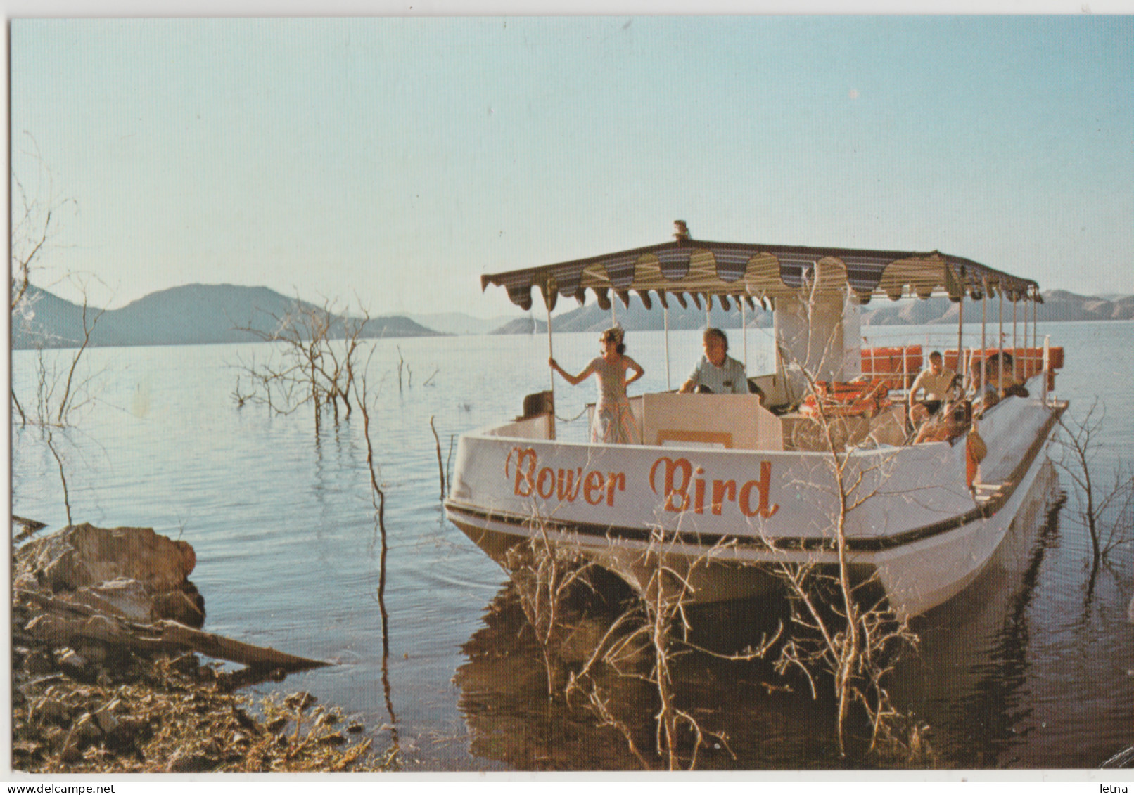 WESTERN AUSTRALIA WA Bower Bird Cruise Boat LAKE ARGYLE Hotel Kununurra Postcard C1970s - Otros & Sin Clasificación