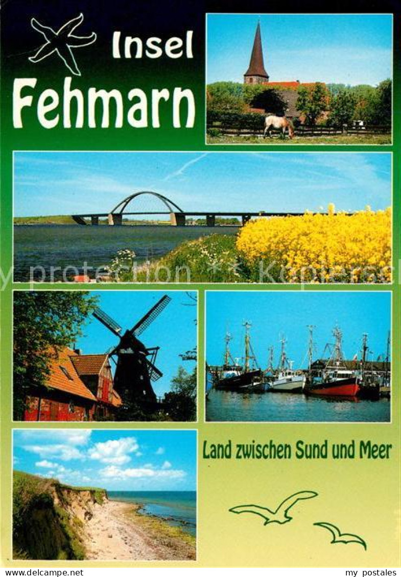 73143824 Insel Fehmarn Pferd Kirche Fehmarnsundbruecke Windmuehle Hafen Fischkut - Fehmarn