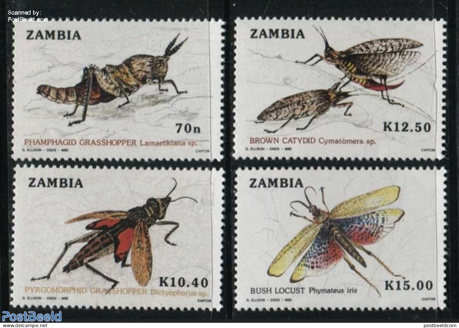 Zambia 1989 Grasshoppers 4v, Mint NH, Nature - Insects - Zambie (1965-...)