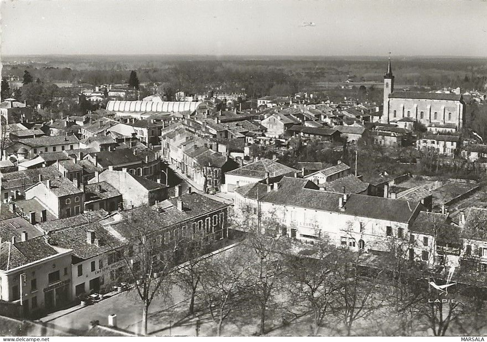 CPSM Villeneuve De Marsan Panorama - Villeneuve De Marsan