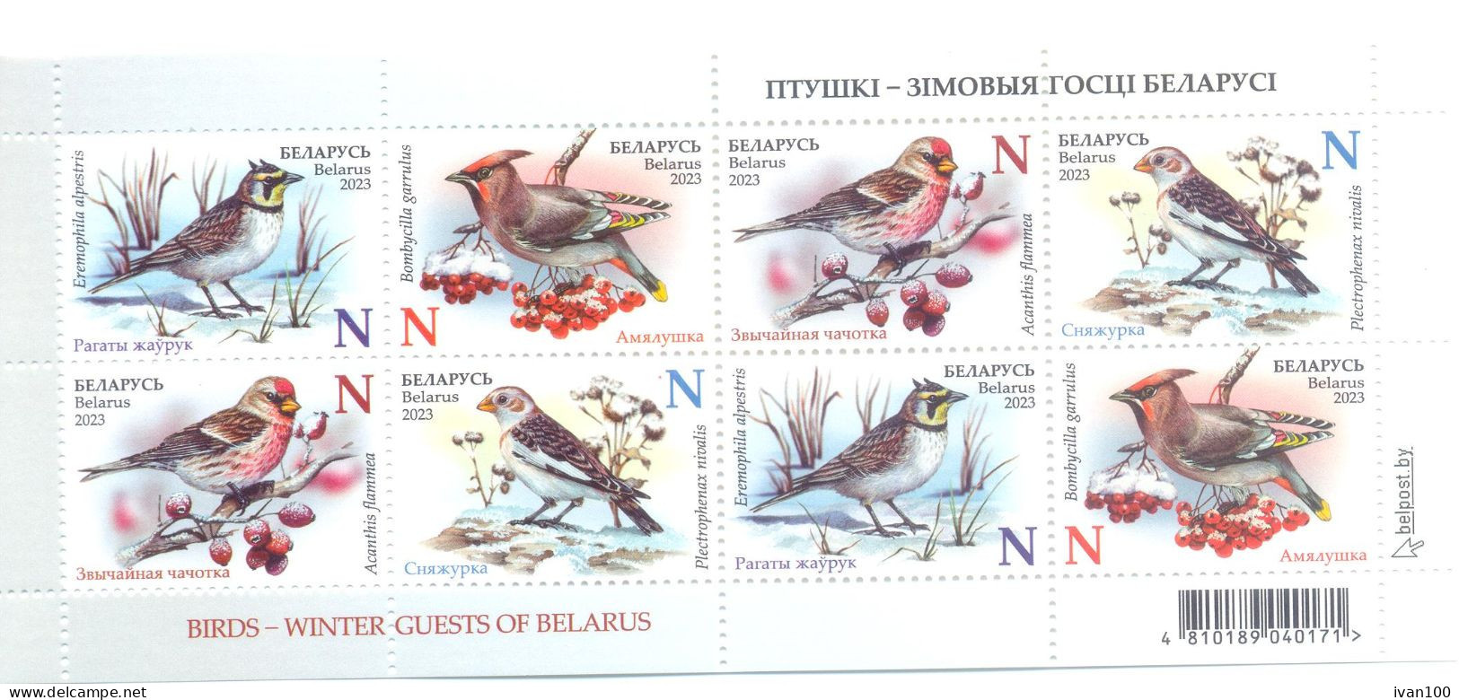 2023. Belarus, Birds - Winter Guests Of Belarus, S/s,  Mint/** - Belarus