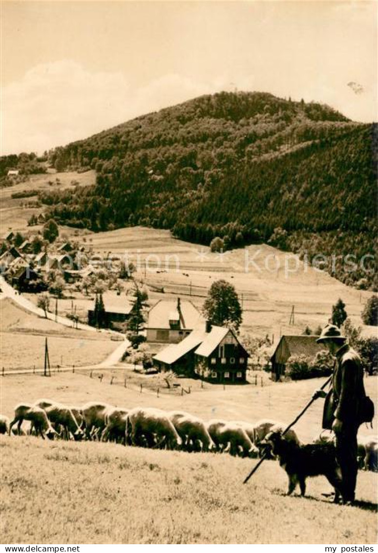 73136830 Waltersdorf Zittau Blick Zur Lausche Schaefer Mit Schafherde Waltersdor - Grossschoenau (Sachsen)