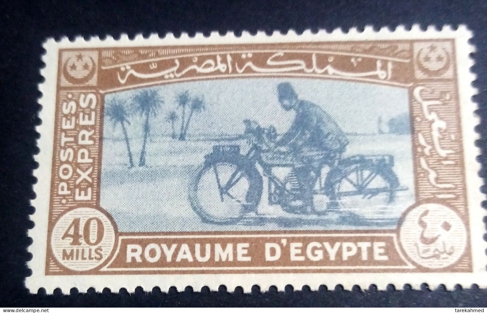 EGYPT 1943 - EXPRESS LETTER Stamp, SG # E290, MNH - Unused Stamps