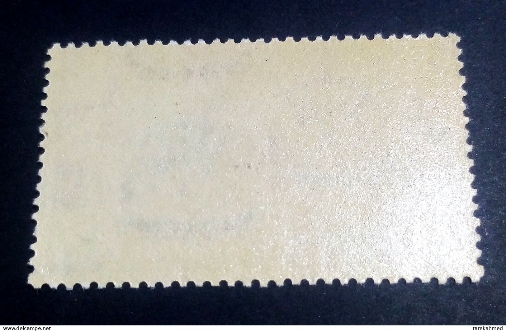 EGYPT 1943 - EXPRESS LETTER Stamp, SG # E290, MNH - Unused Stamps