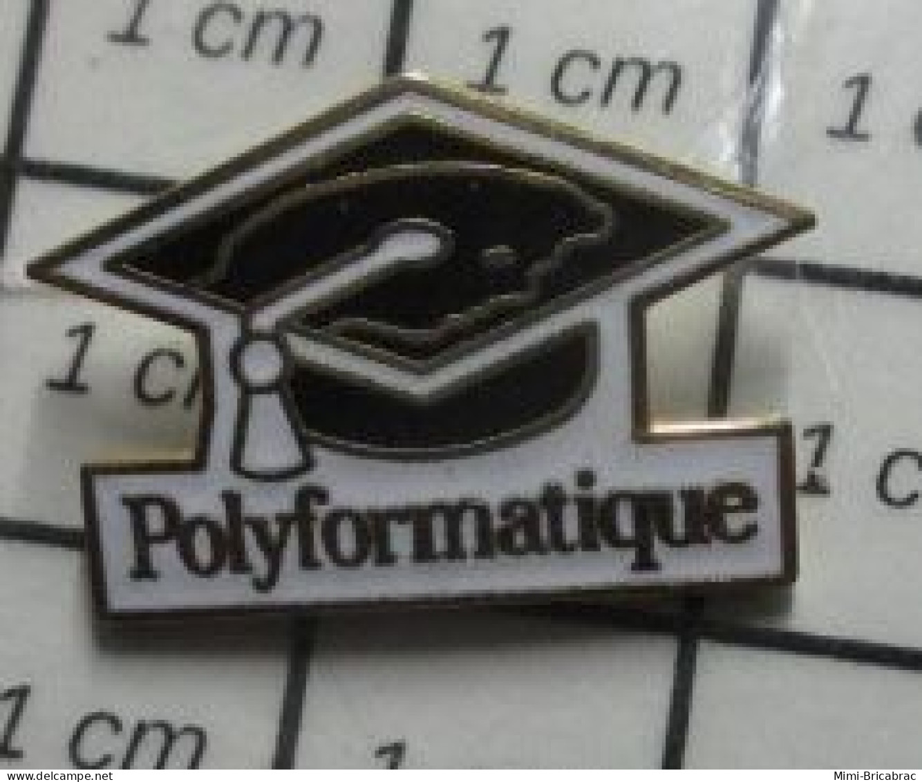 718A Pin's Pins / Beau Et Rare / INFORMATIQUE / TOQUE D'ETUDIANT RICAIN POLYFORMATIQUE - Informatik