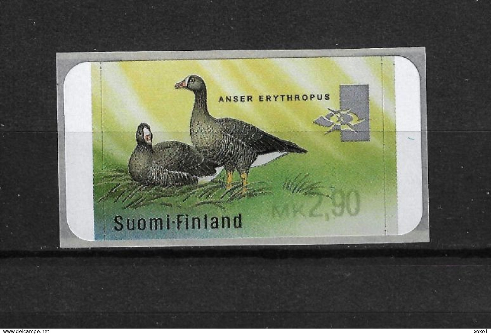 Finland 1999 MiNr. 35 Finnland ATM Birds Lesser White-fronted Goose (Anser Erythropus) 1v  MNH**  2,00 € - Oche