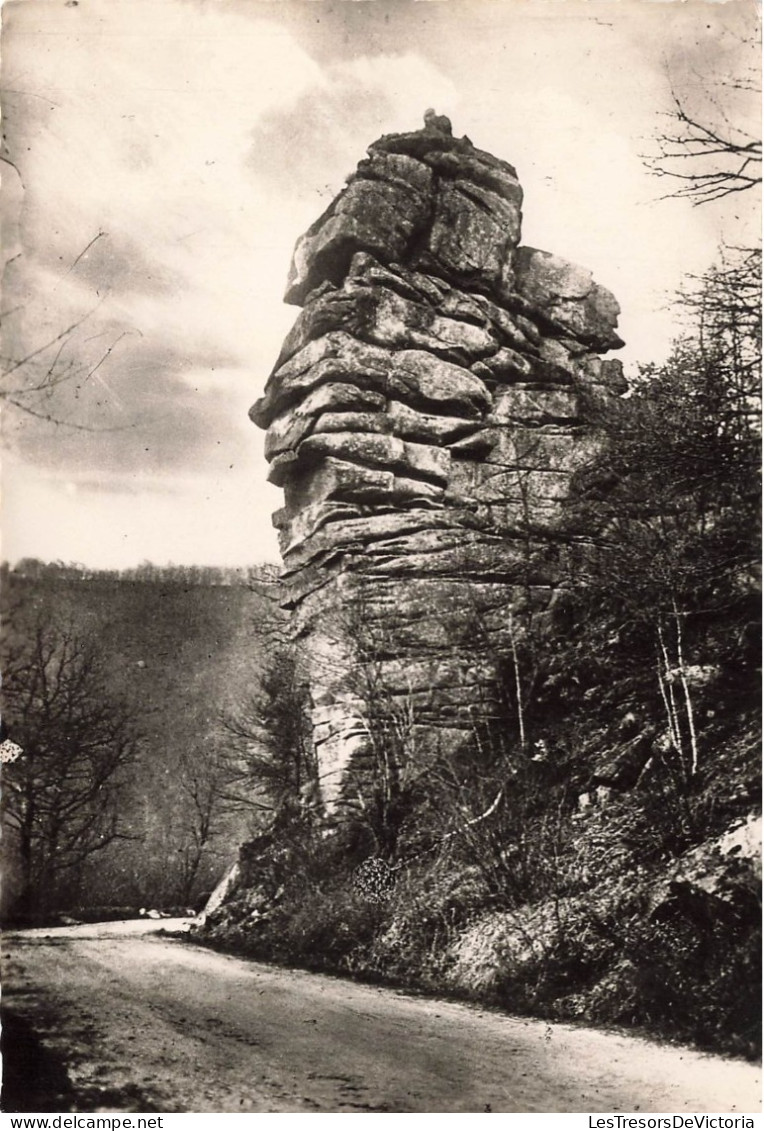 FRANCE - En Morvan - Vue Sur La Roche Du Chien - Carte Postale - Autres & Non Classés