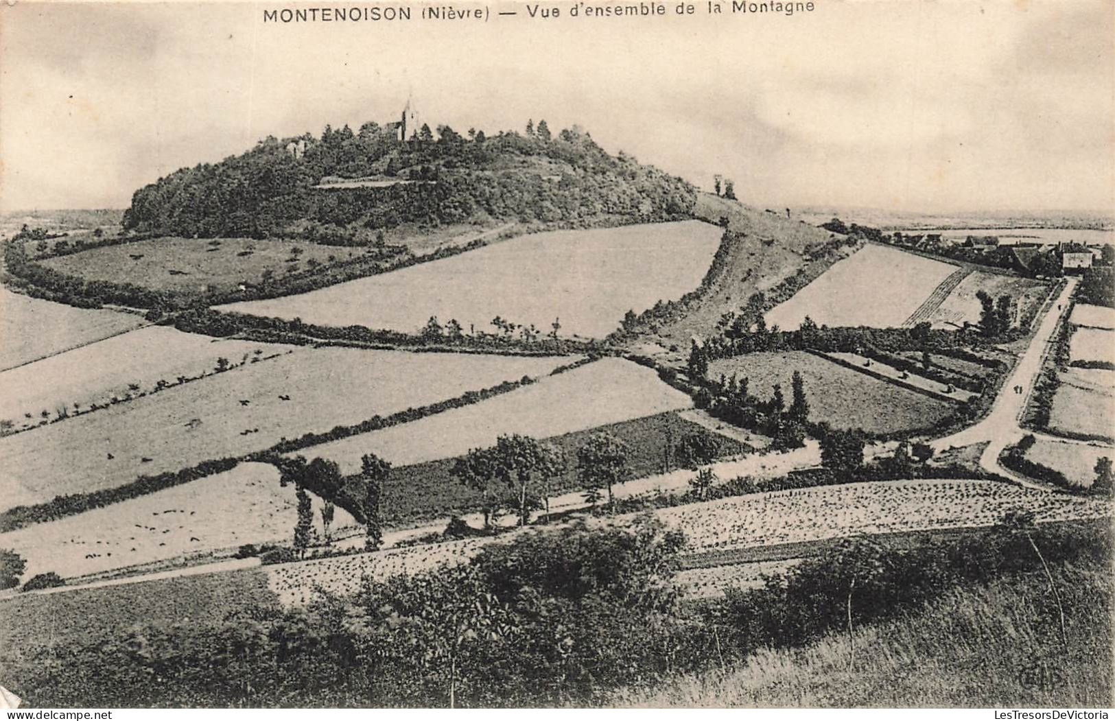 FRANCE - Montenoison (Nièvre) - Vue D'ensemble De La Montagne - Carte Postale Ancienne - Cosne Cours Sur Loire
