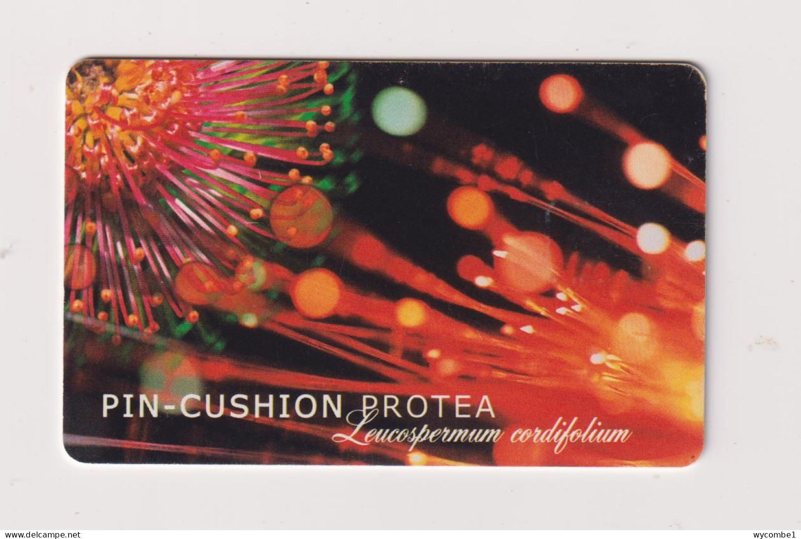 SOUTH AFRICA  -  Flower Pin Cushion Protea Chip Phonecard - Zuid-Afrika