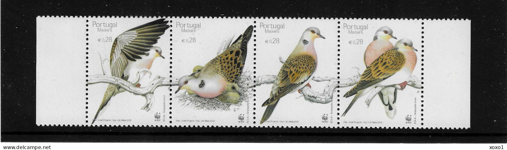 Portugal Madeira 2002 MiNr. 218 - 221 WWF Birds The European Turtle Dove 4v MNH** 3,00  € - Pigeons & Columbiformes