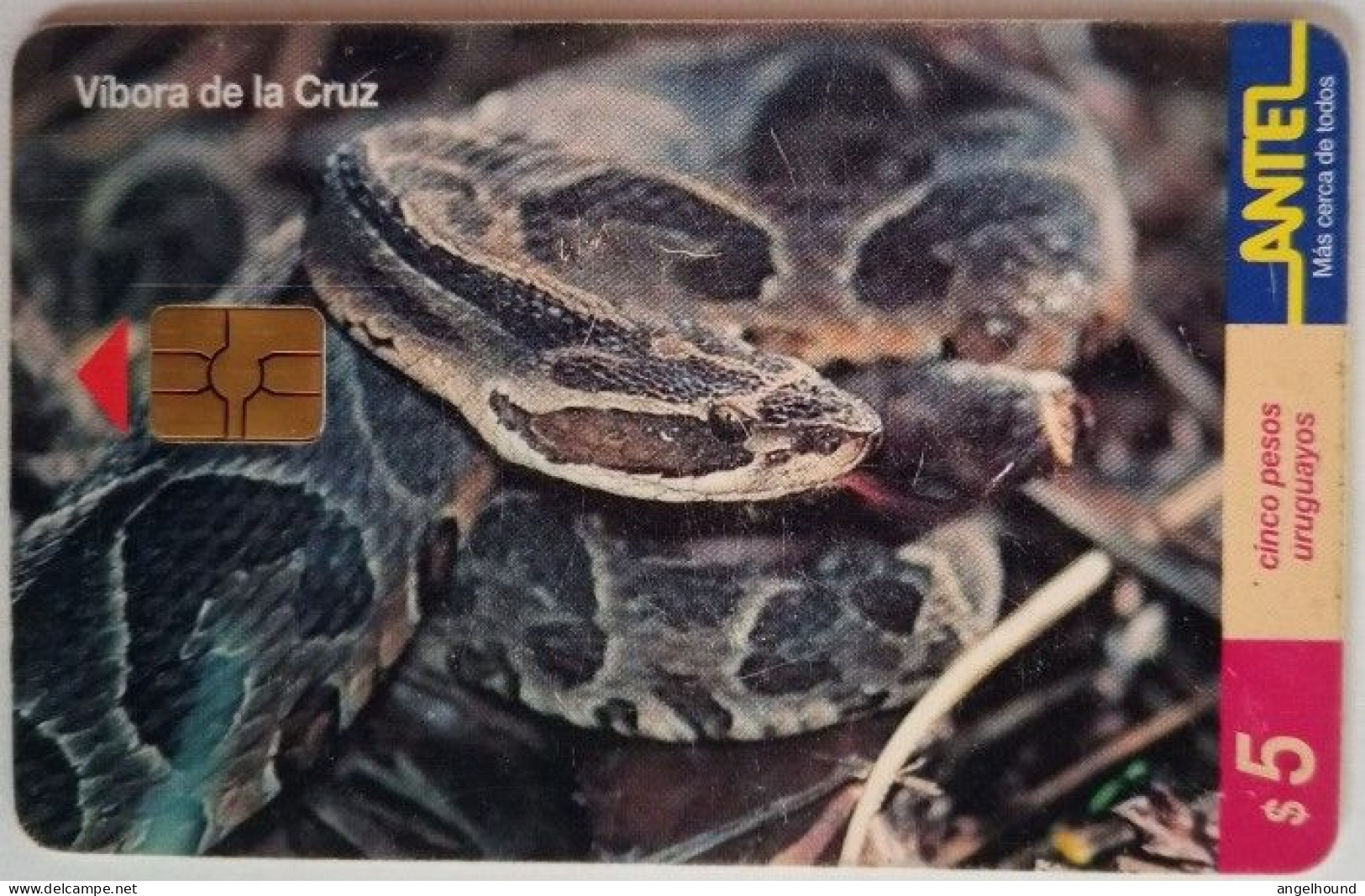 Uruguay Antel $5 Chip Card - Vibora De La Cruz - Uruguay