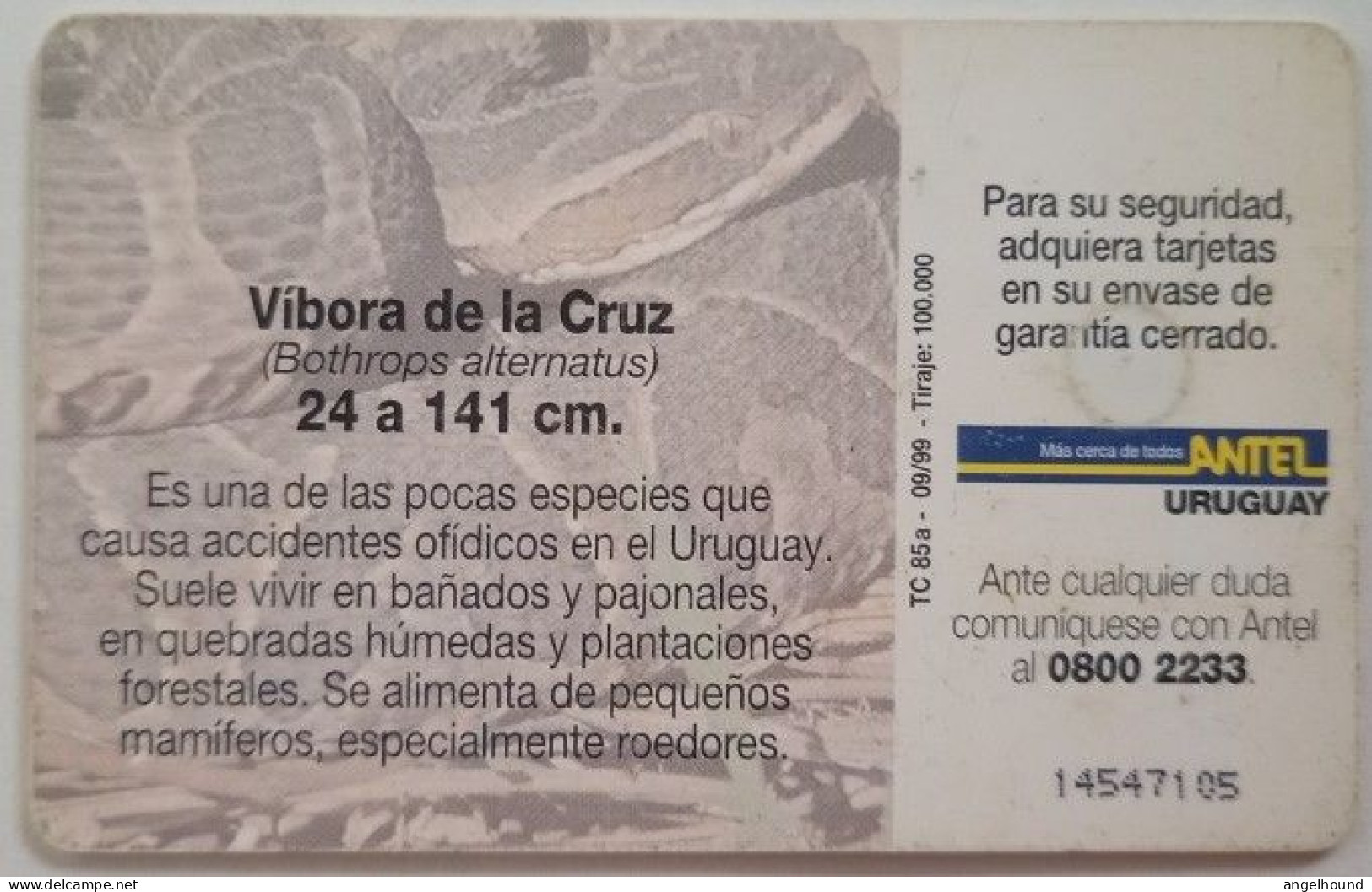 Uruguay Antel $5 Chip Card - Vibora De La Cruz - Uruguay