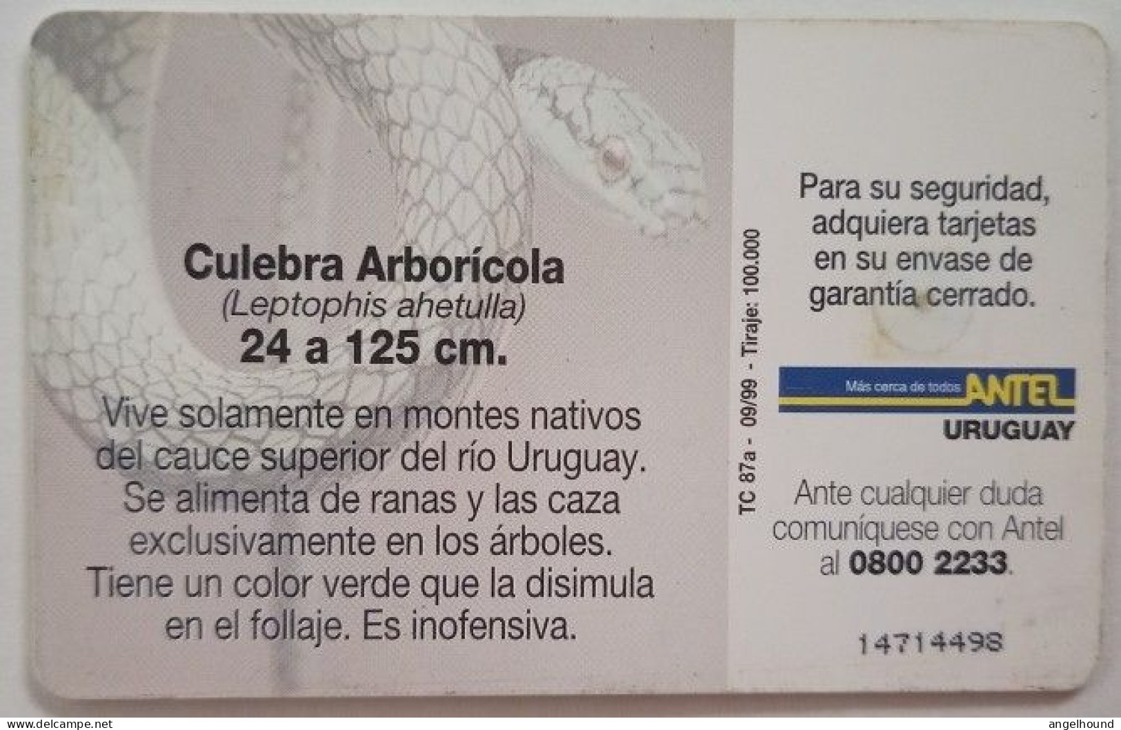 Uruguay Antel $5 Chip Card - Culebra Arboricola - Uruguay