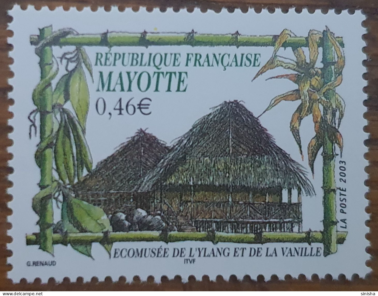 France / Mayotte / Market And Fruits / Vanilla - Other & Unclassified