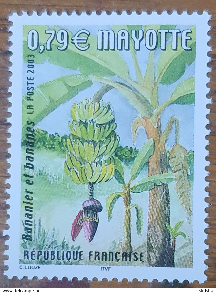 France / Mayotte / Market And Fruits / Banannas - Otros & Sin Clasificación