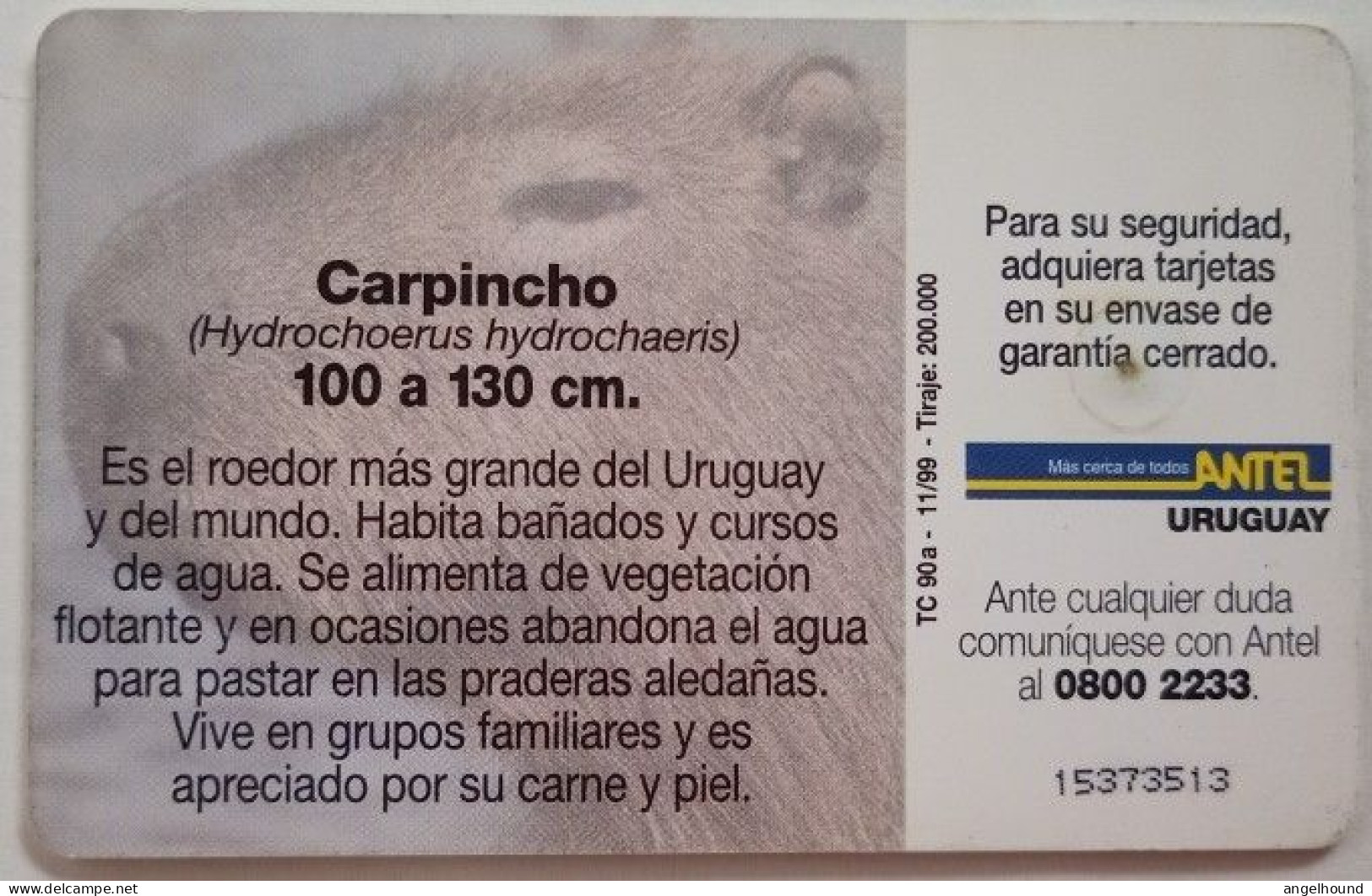 Uruguay Antel $5 Chip Card - Carpincho - Uruguay