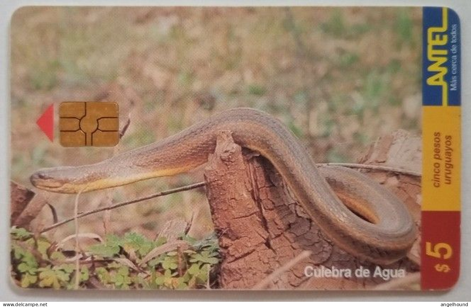 Uruguay Antel $5 Chip Card - Culebra De Agua - Uruguay