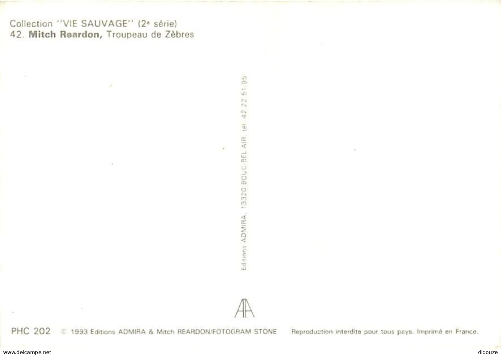 Animaux - Zèbres - Collection Vie Sauvage - CPM - Voir Scans Recto-Verso - Zèbres
