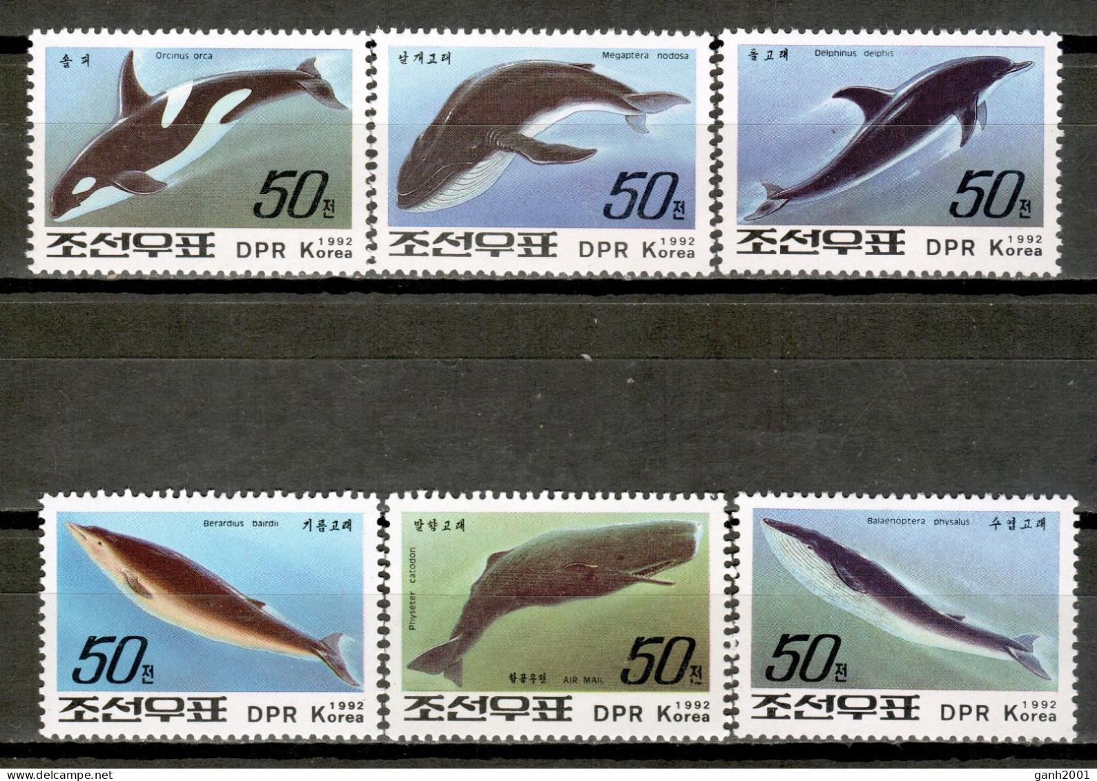 North Korea 1992 Corea Del Norte / Sea Mammals Whales Dolphins MNH Ballenas Delfines / Lu18  7-32 - Balene