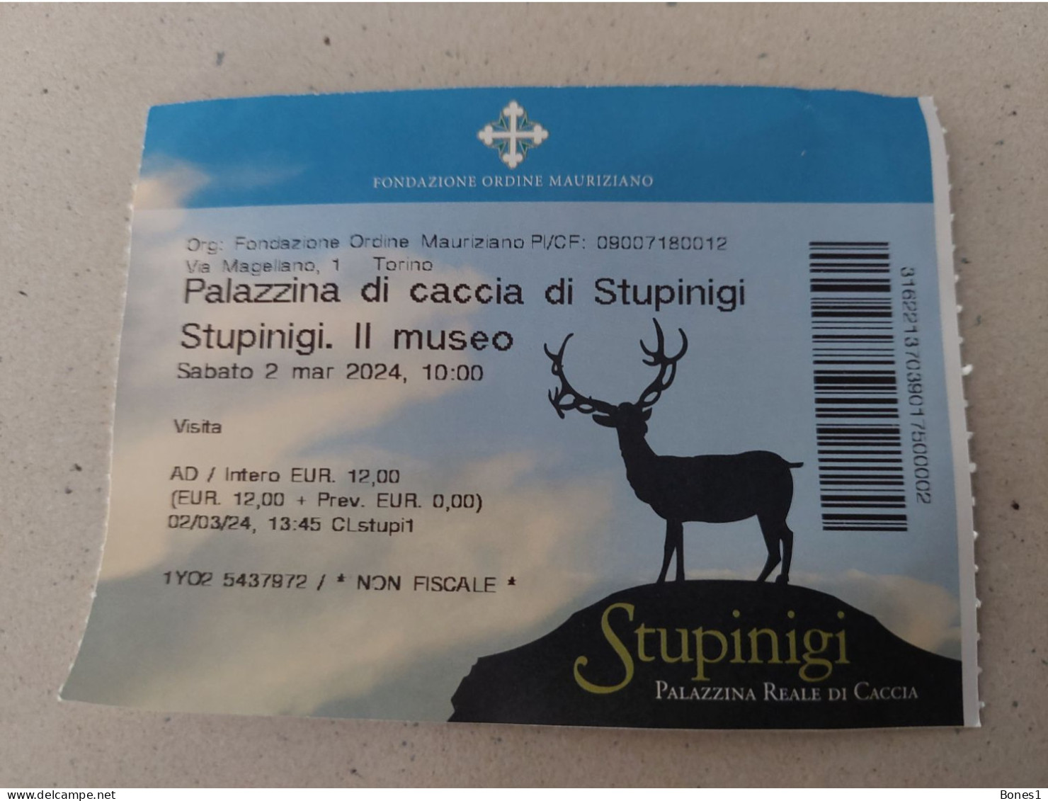 Italy Torino Ticket To Palazzina Di Caccia Di Stupinigi Museum 2024 - Biglietti D'ingresso