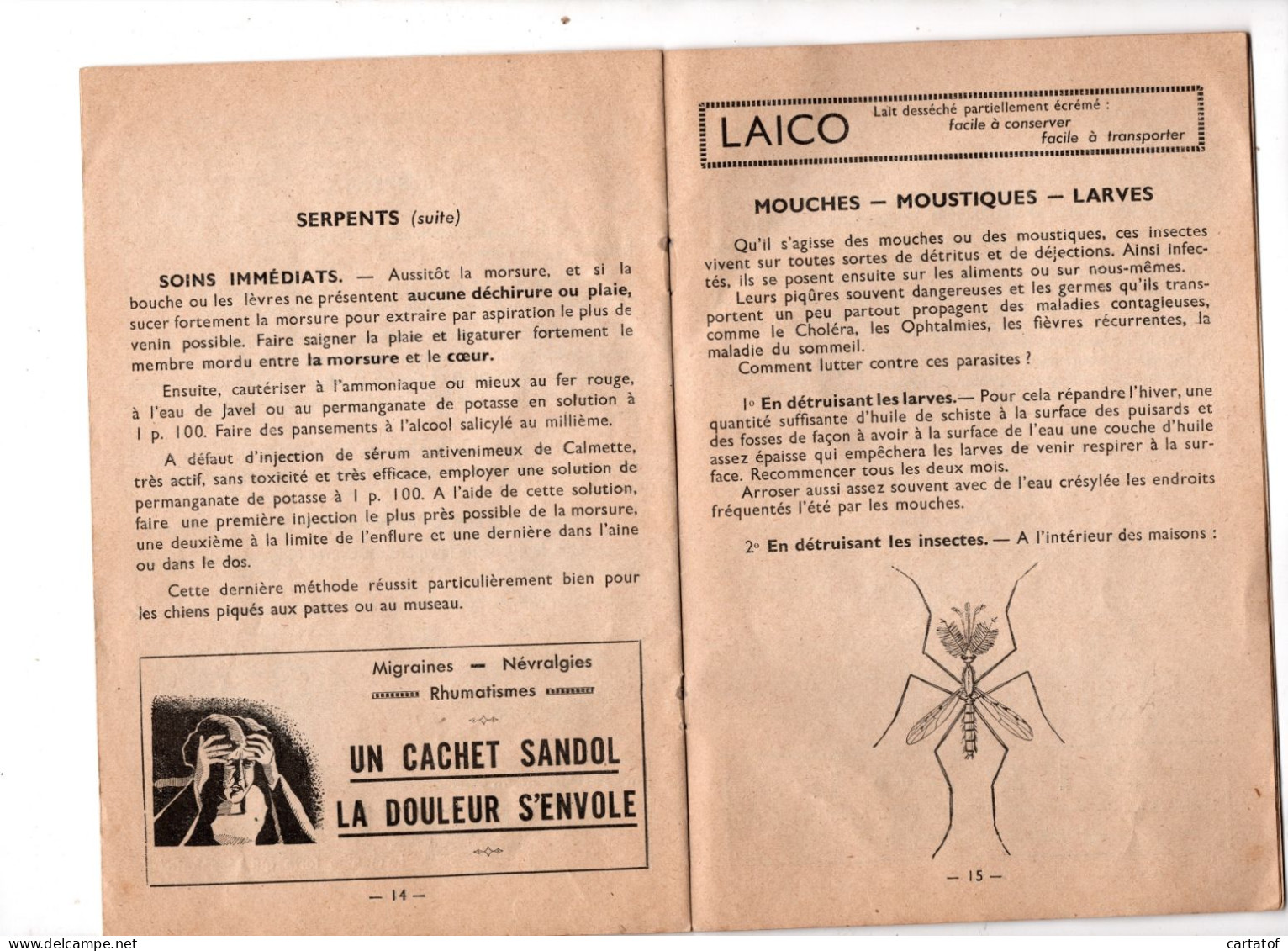 L'ÉTÉ  SES DANGERS .  Hygiène alimentaire Champignons Serpents Mouches moustiques larves Soleil Chaleur Transpiration