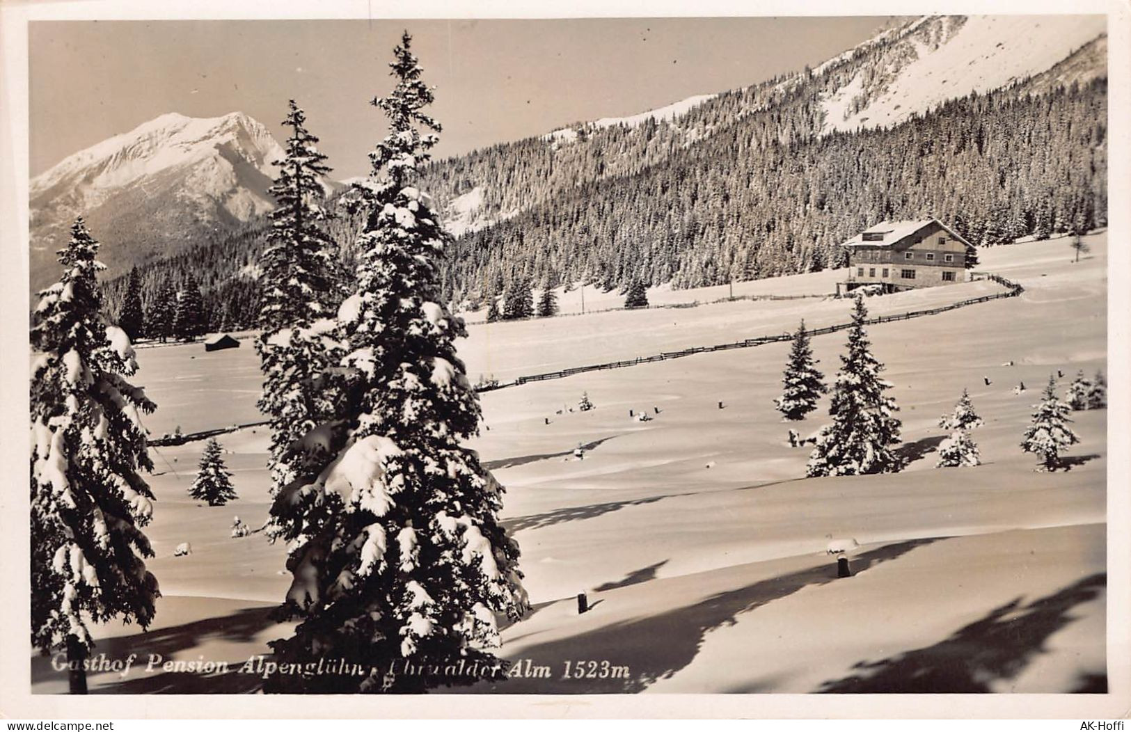 Ehrwald - Gasthof Pension Alpenglühn Alm  (2816) - Ehrwald