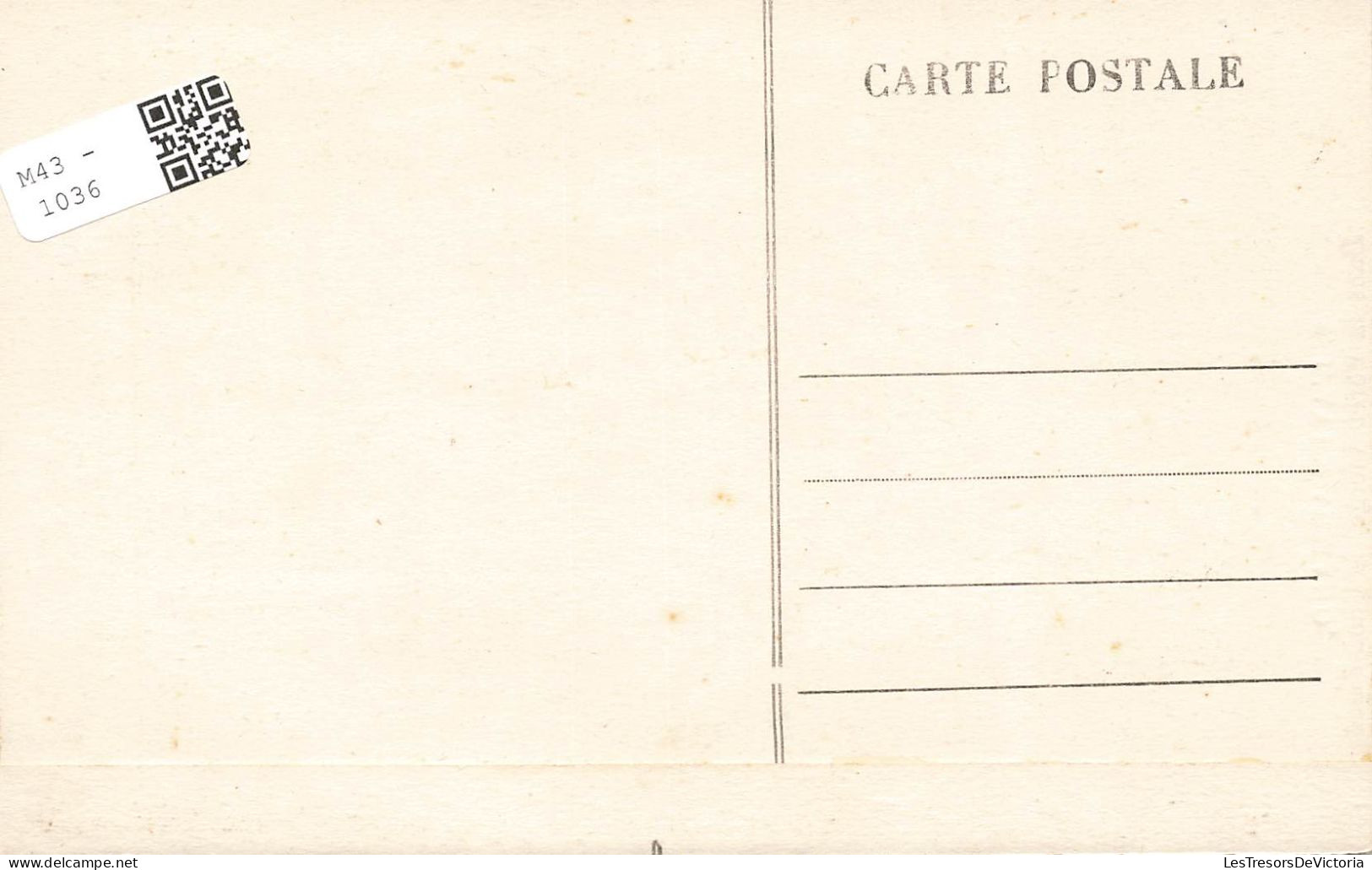 FRANCE - L'Aven Armand - Dans La Forêt Vierge - Le Chou-fleur - Carte Postale Ancienne - Autres & Non Classés