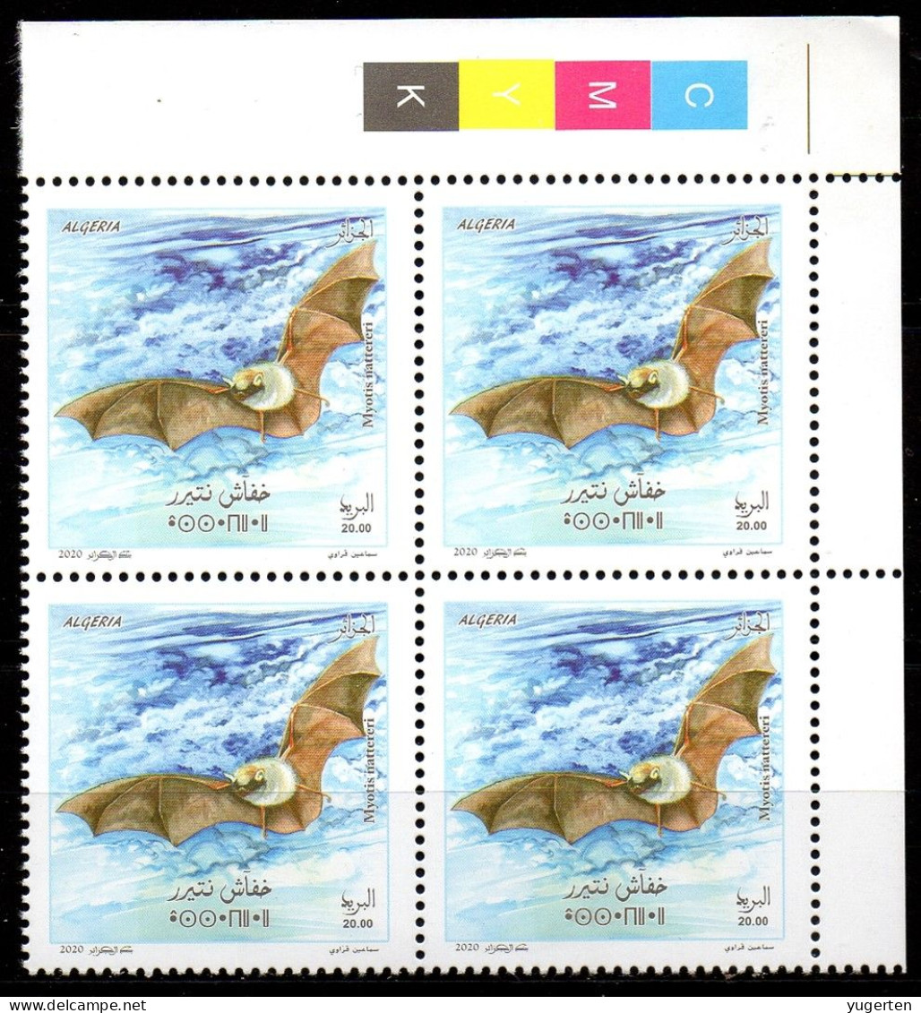 ALGERIE ALGERIA 2020 - 4v - MNH - Bat - Bats - Chauves-souris - Fledermäuse - Mammals - Murciélagos - Pipistrelli - 蝙蝠 - Fledermäuse