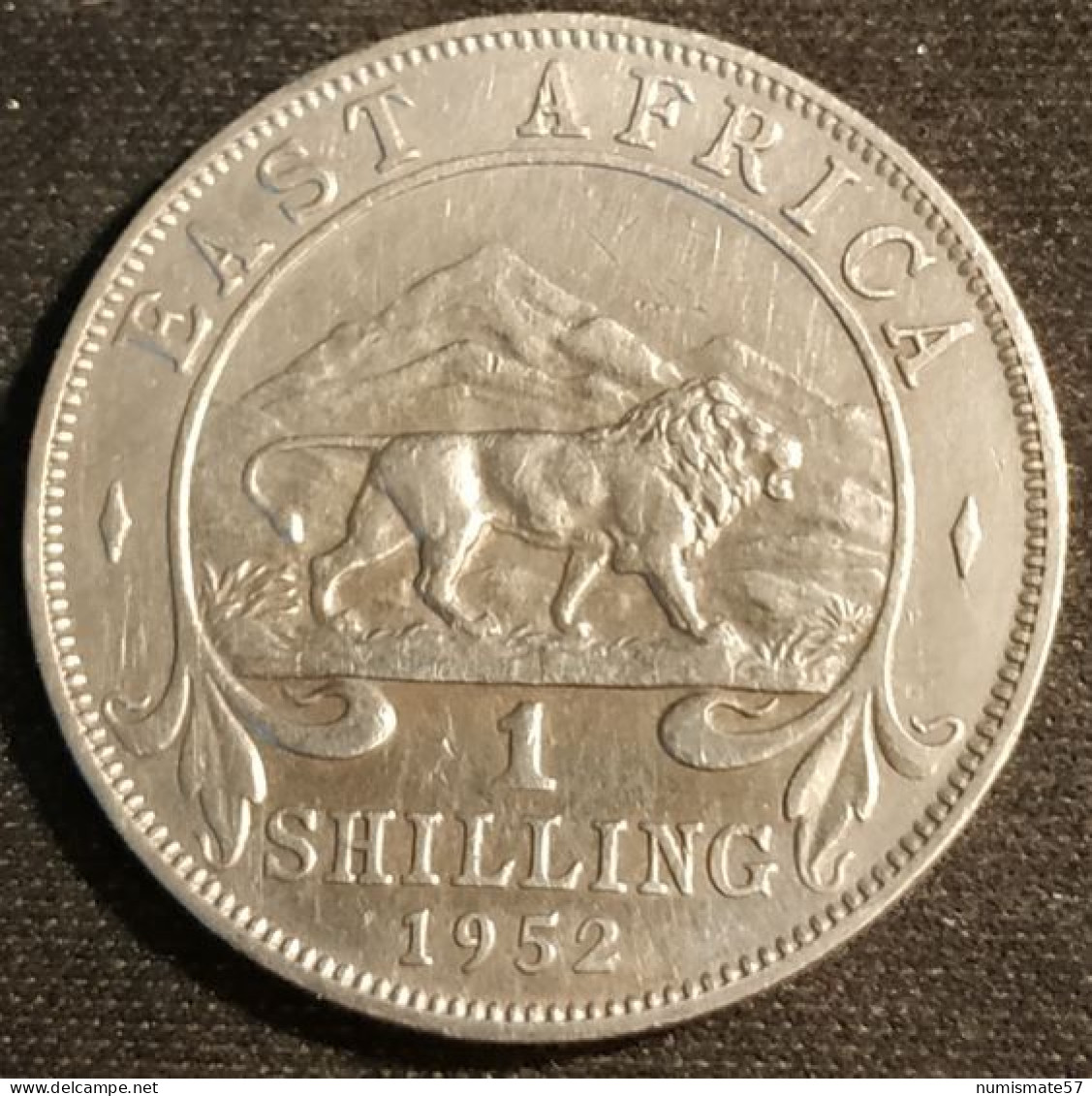 AFRIQUE DE L'EST - EAST AFRICA - 1 SHILLING 1952 - George VI - KM 31 - Colonia Británica