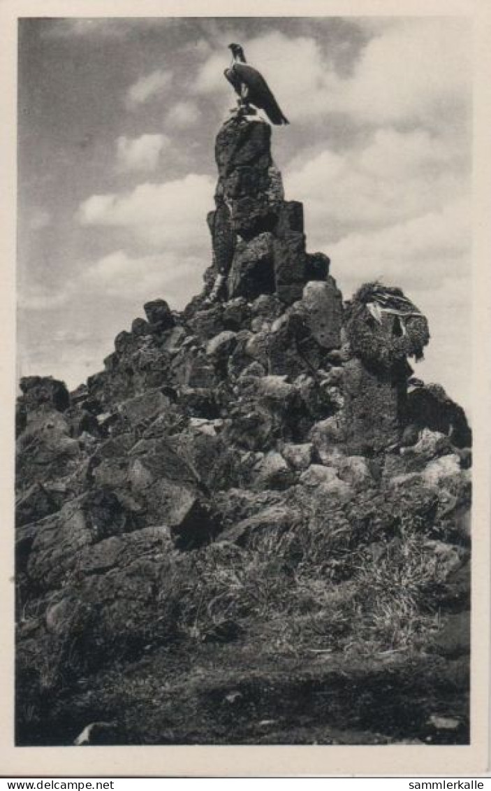 38284 - Wasserkuppe - Fliegerdenkmal - Ca. 1950 - Rhoen