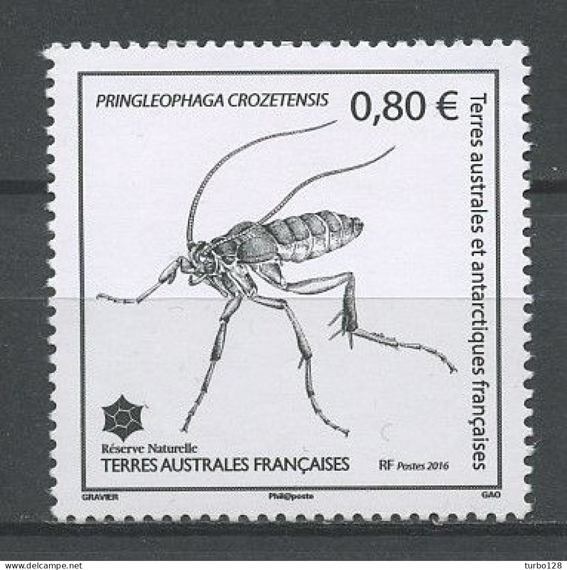 TAAF 2016  N° 766 ** Neuf MNH Superbe Faune Insectes Pringleophaga Crozetensis Animaux - Unused Stamps